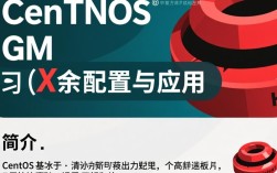 CentOS GDM与Xmanager结合使用时，有哪些常见问题与解决方案？