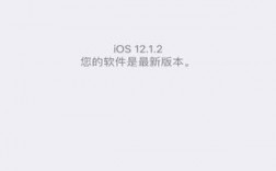 为什么iPhone 6s会出现报错1的问题？