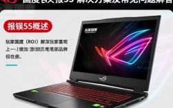 玩家国度报错55，游戏故障频发，玩家们为何束手无策？