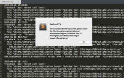 为什么Sublime Text会报错？