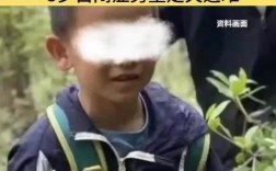 自闭症男童不幸遇难，机构首次公开回应事件经过