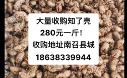 知了壳高价收购却遭石子掺假，市场乱象引关注