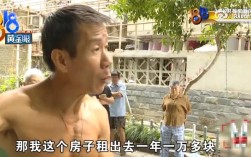 爱心满屋，退休大爷无私奉献，将房产让40条流浪狗安家