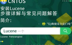 CentOS安装Lucene时遇到哪些常见问题及解决方法？