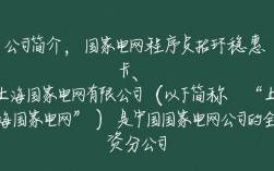 上海国家电网程序员招聘，有哪些具体要求与福利待遇？
