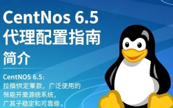 CentOS 6.5 系统中如何配置高效代理设置？探讨优化方案与技巧。