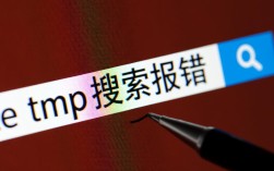 CE TMP搜索报错解决攻略