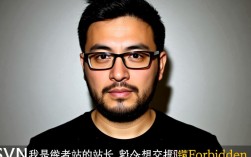 SVN提交时遇到forbidden错误原因解析
