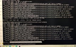 Debian系统pip命令错误排查与解决指南