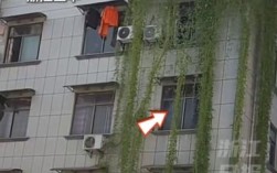 浙江居民楼现奇观，空心菜瀑布倾泻而下