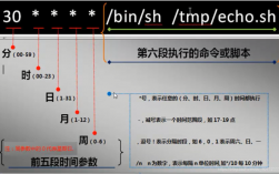 如何在CentOS上高效执行脚本？