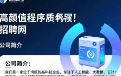 湾区高颜值程序员招聘网，如何平衡颜值与编程实力？