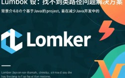 Lombok报错找不到问题分析，解决方法与常见原因揭秘！