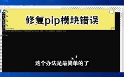 Import Pip 报错 可以优化为，，如何解决import pip时出现的报错？