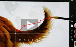 高效剪辑技巧，如何从视频中删除尾巴部分