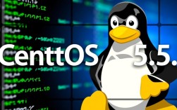 Centos 5.5系统漏洞，如何应对和修复这一安全危机？