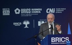 巴西总统卢拉与比亚迪董事长王传福携手共谋合作新篇章