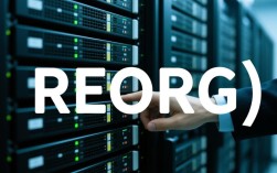 Reorg过程报错处理指南