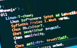 Linux系统版本快速识别指南