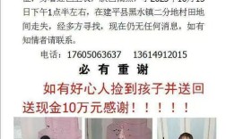 辽宁4岁女童翻车窗失联，紧急搜救中