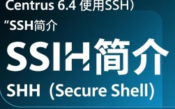 CentOS 6.4环境下SSH配置遇到问题？如何高效解决？