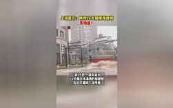 LV大船被淹谣言案，六人涉嫌造谣被警方拘留