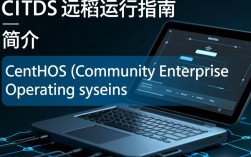 CentOS远程运行时遇到问题？如何优化和解决常见挑战？