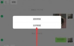 如何轻松转发微信聊天记录？