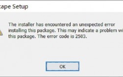 报错2503是什么意思？如何解决？