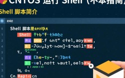 Centos环境下运行Shell脚本时，有哪些常见问题或注意事项？