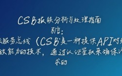 CSB报错处理指南