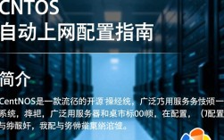 CentOS系统如何实现自动上网配置？详细步骤与设置方法探讨？