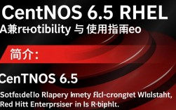 CentOS 6.5 Rhcs系统升级后，如何确保稳定性和兼容性？