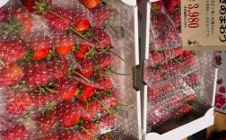 进口水果价格回归理性