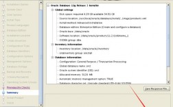 如何在CentOS上成功安装Oracle 11g数据库？