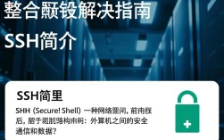 SSH集成异常排查指南