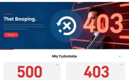 网站访问错误，500内部服务器错误与403禁止访问详解