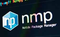 如何解决 npm 报错 usage key 的具体问题与解决步骤详解？