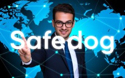 Centos系统下安装使用Safedog时，有哪些常见配置疑问与解决方法？