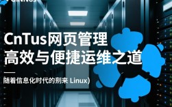 CentOS网页管理，如何高效配置和优化CentOS服务器网页服务？