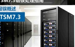 TSM 7.3系统错误排查指南