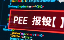 快速解决PEE报错技巧全解析