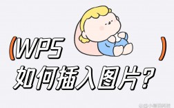 如何在WPS文档中插入图片？