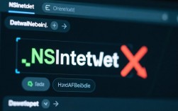 解决NS_INLINE_DATA错误指南
