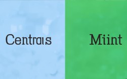 CentOS与Mint系统比较，哪款Linux发行版更适合您的需求？