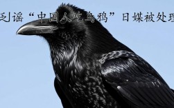 日媒造谣中国人吃乌鸦事件引发处理
