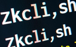 zkcli.sh报错原因排查与解决方法详解，是系统配置问题还是脚本错误？