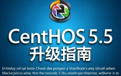 Centos 5.5升级过程中可能出现哪些常见问题及解决方法？