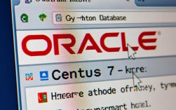 Centos 7环境下Oracle查看指南