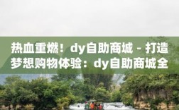 什么是dy24小时自助服务平台？